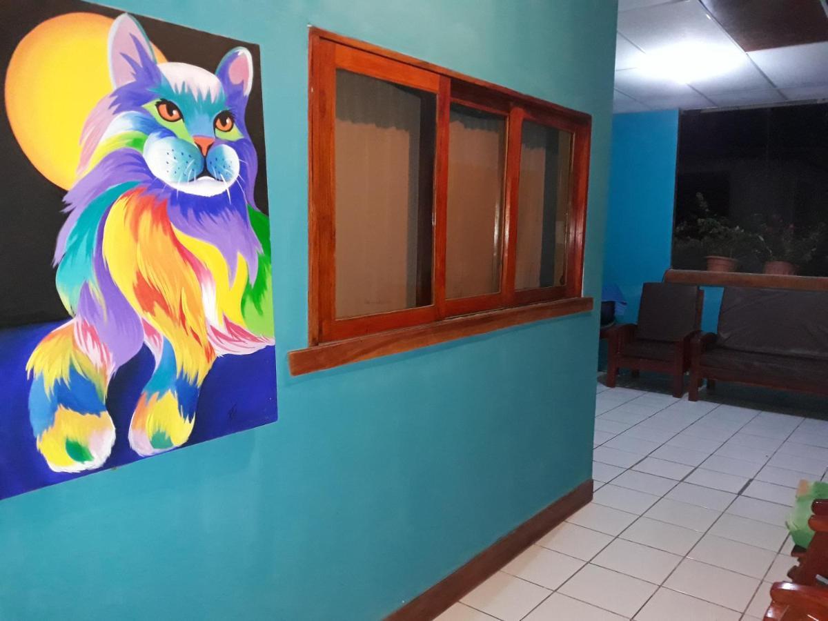 Hostal Javier'S House Sjs サン・フアン・デル・スル エクステリア 写真